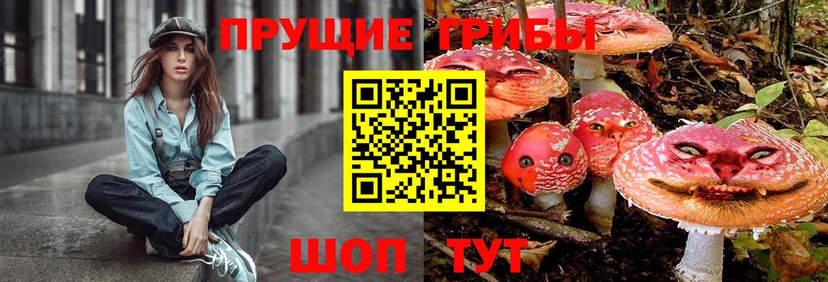 Псилоцибиновые грибы Psilocybine cubensis Дагестанские Огни