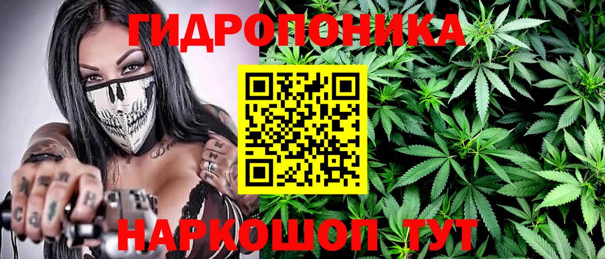 Бошки Шишки конопля Дагестанские Огни